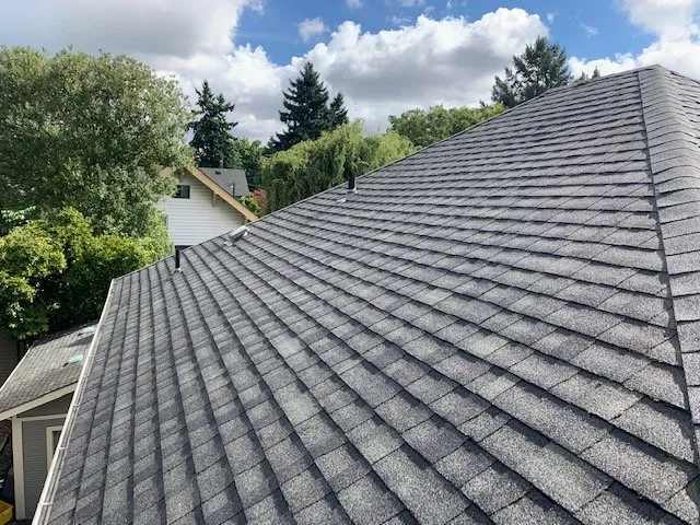 Slide of Rip City Roof Cleaning