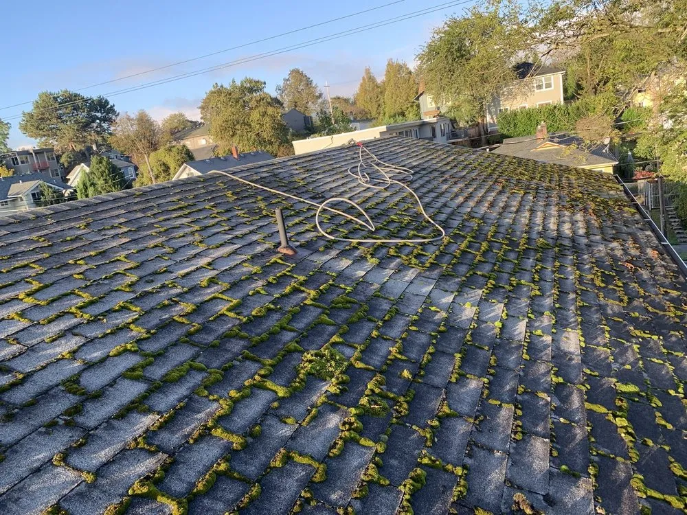 Slide of Rip City Roof Cleaning