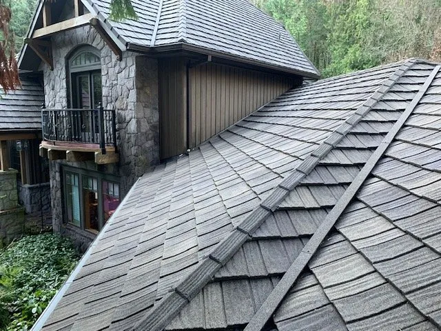 Slide of Rip City Roof Cleaning