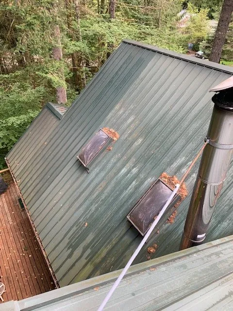 Slide of Rip City Roof Cleaning