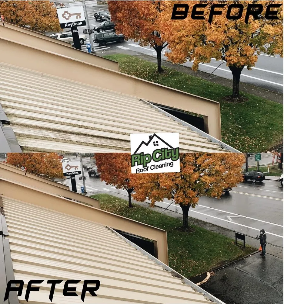 Slide of Rip City Roof Cleaning