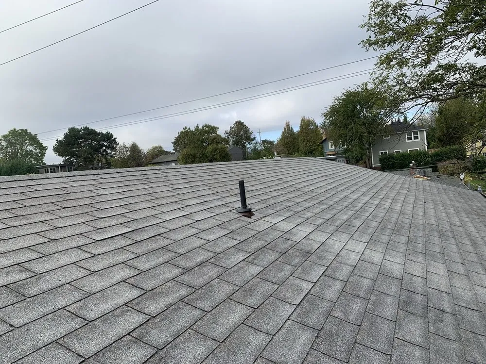Slide of Rip City Roof Cleaning
