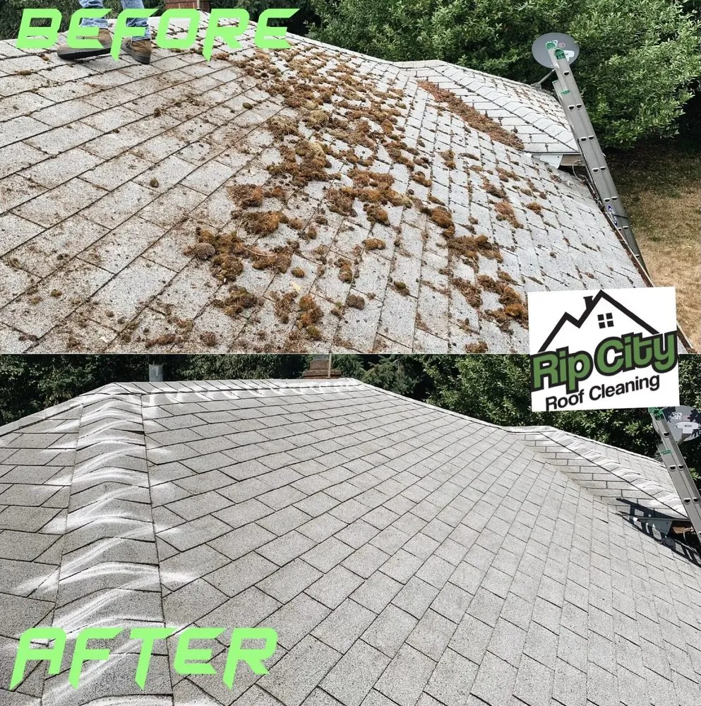 Slide of Rip City Roof Cleaning