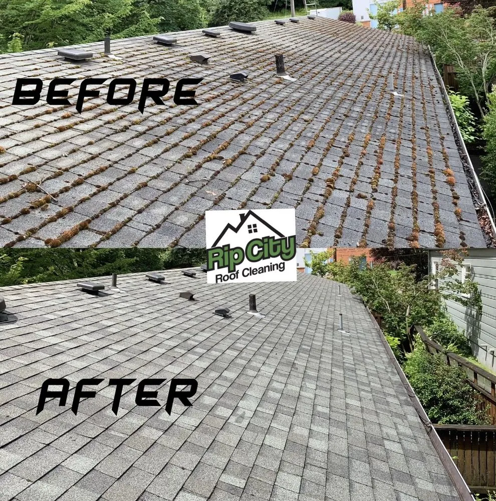 Slide of Rip City Roof Cleaning