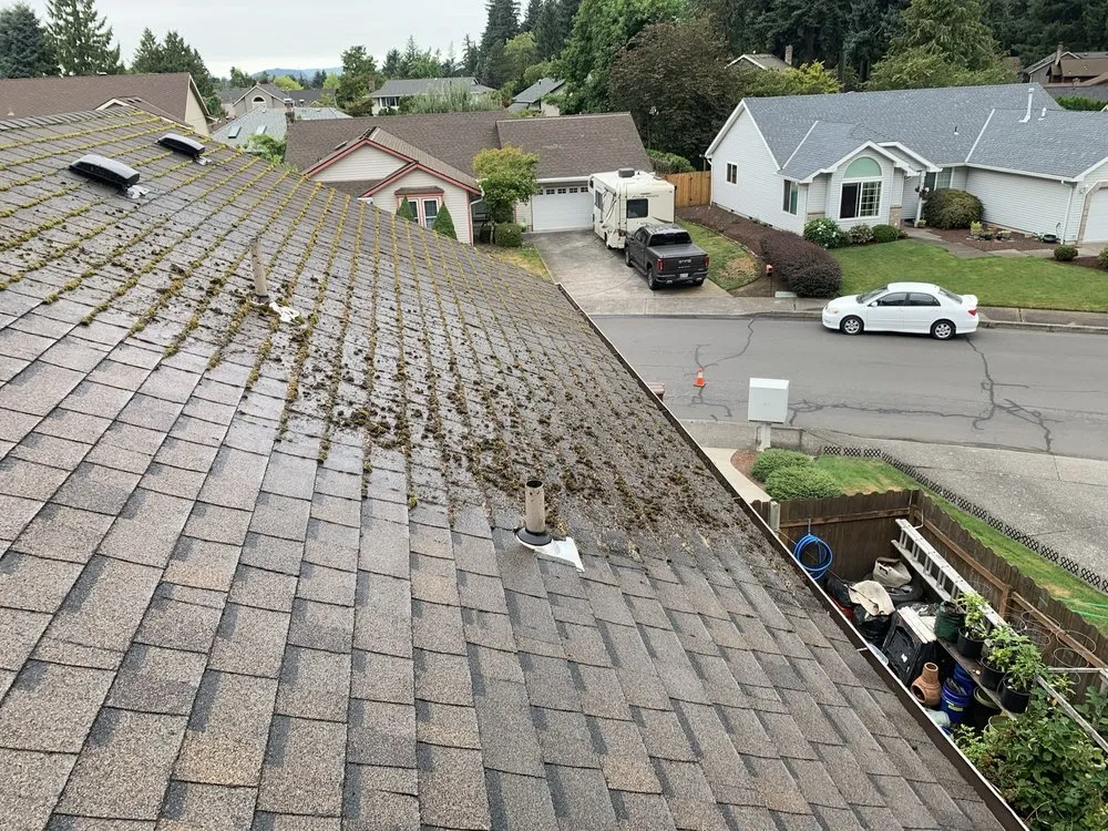 Slide of Rip City Roof Cleaning