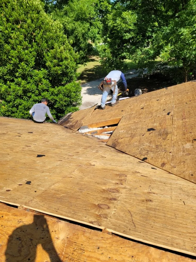 Slide of Rise Up Renovations