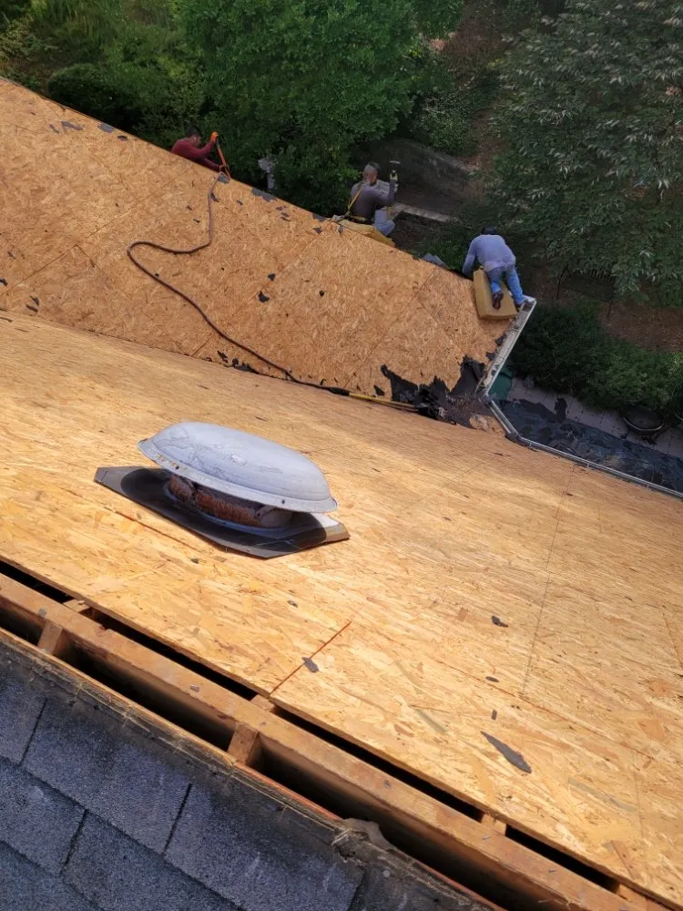 Slide of Rise Up Renovations