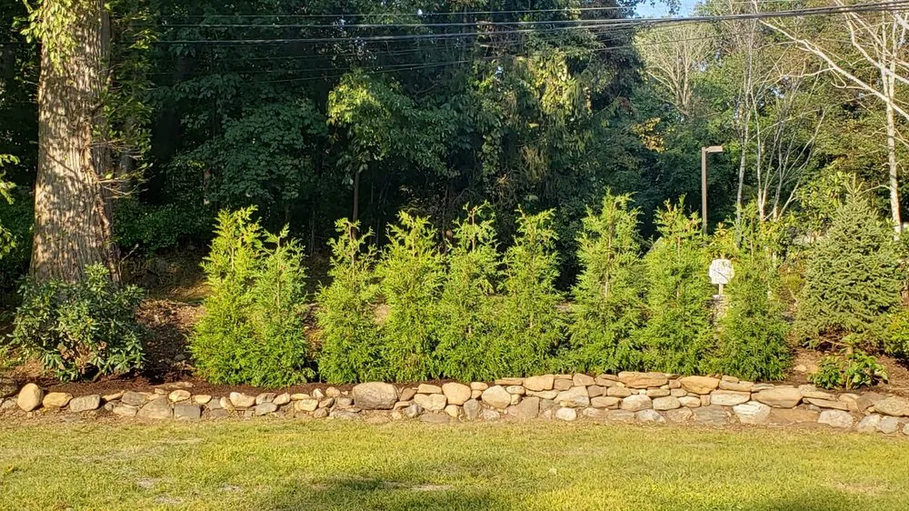 Slide of Rivas Contractor