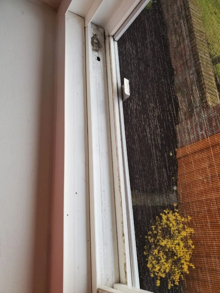 Slide of Rivas Handyman