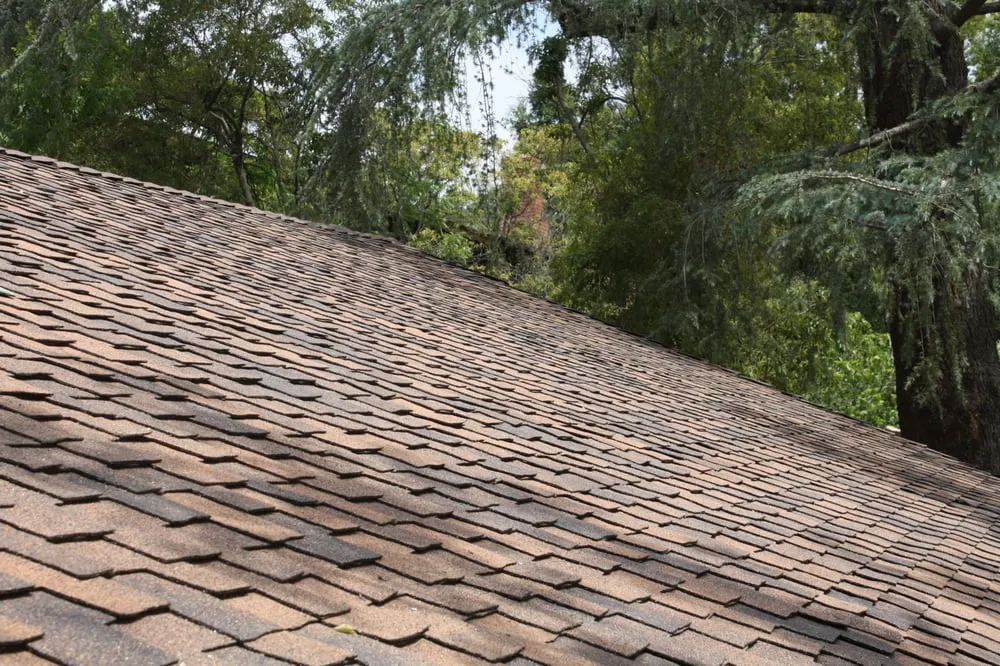 Slide of Rivas Roofing