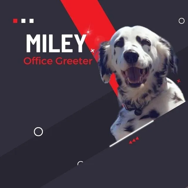 Slide of River Oaks Roofing