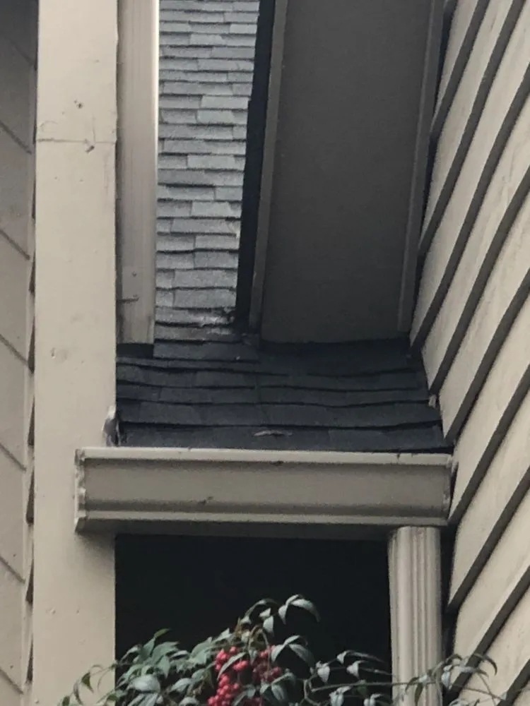 Slide of River Wolf Roofing