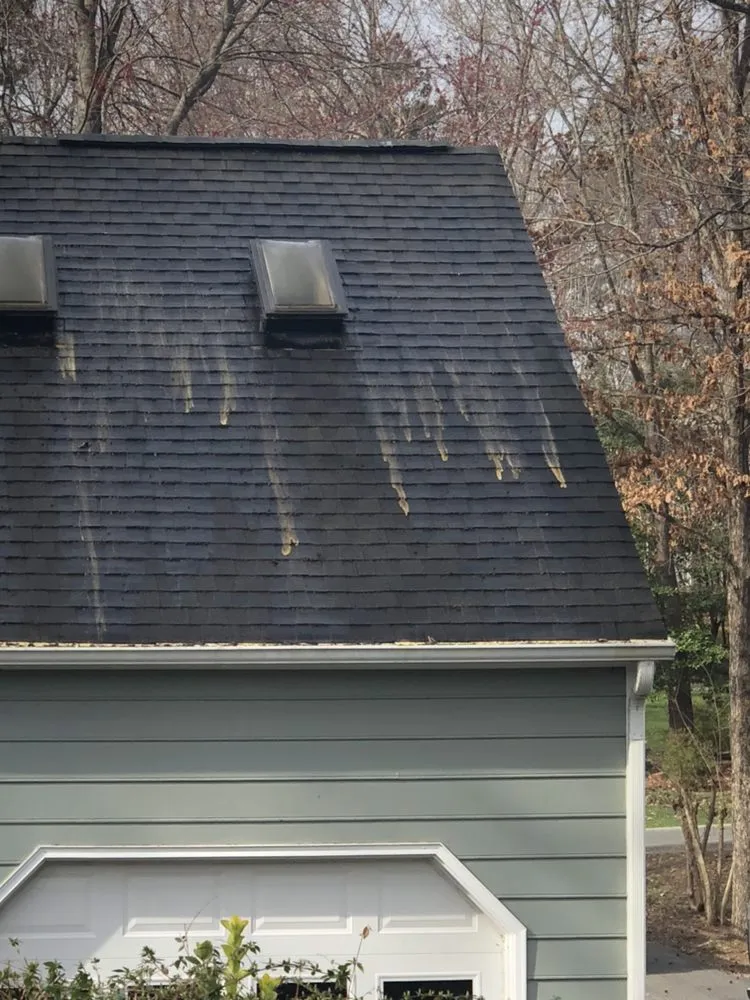 Slide of River Wolf Roofing