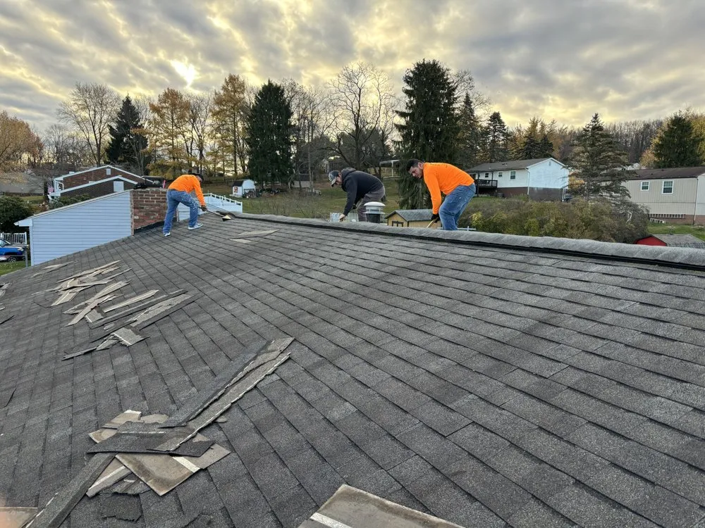 Slide of Rivera Flores Multiservices