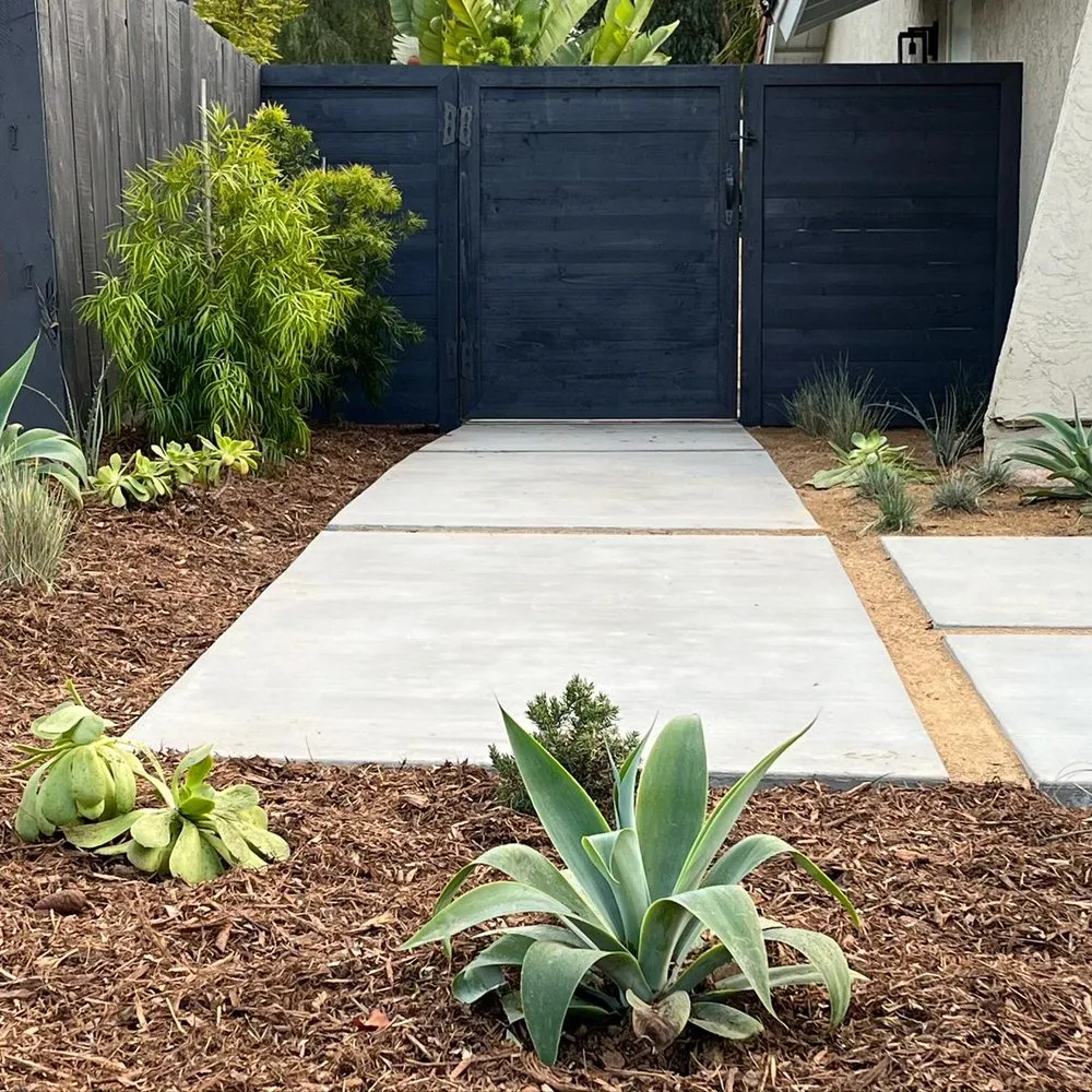 Slide of Rivetti Landscapes