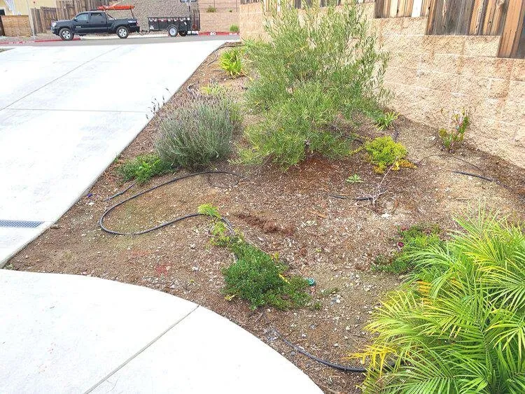 Slide of Rivetti Landscapes