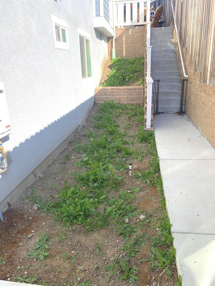 Slide of Rivetti Landscapes