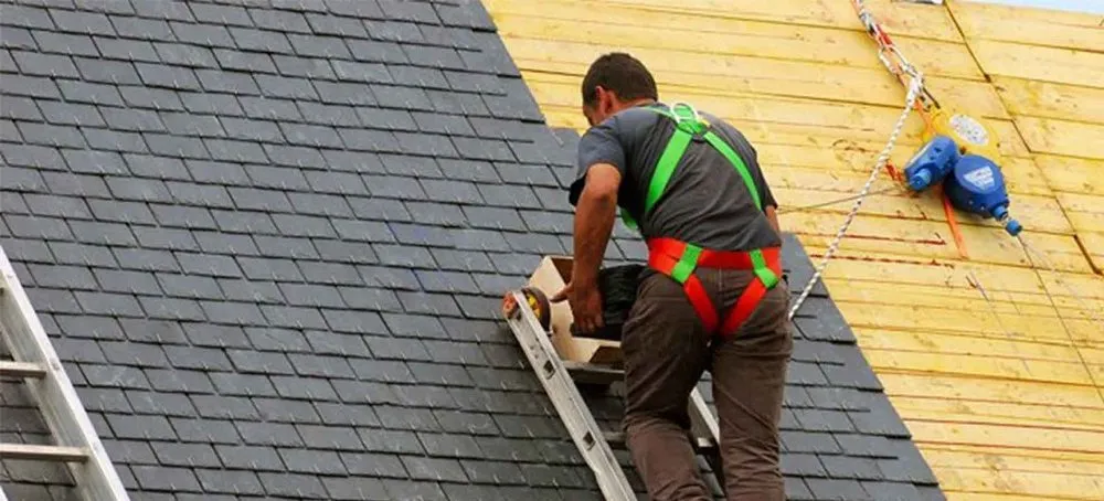 Slide of RL Groves & Sons