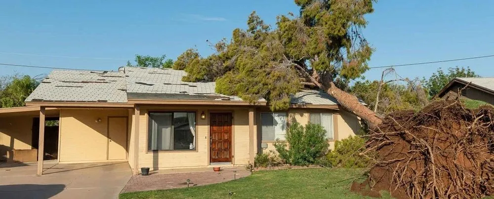 Slide of RL Groves & Sons