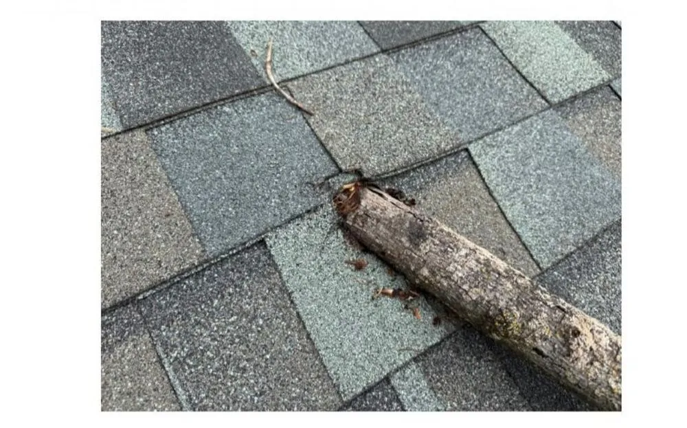 Slide of R&L Home Improvements