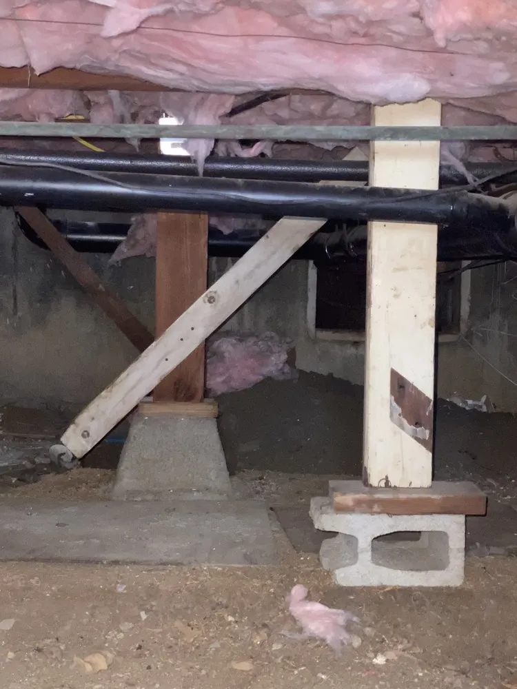 Slide of RLM Cali Builders