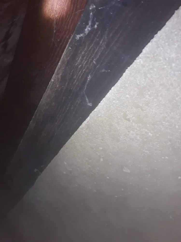 Slide of RLM Cali Builders