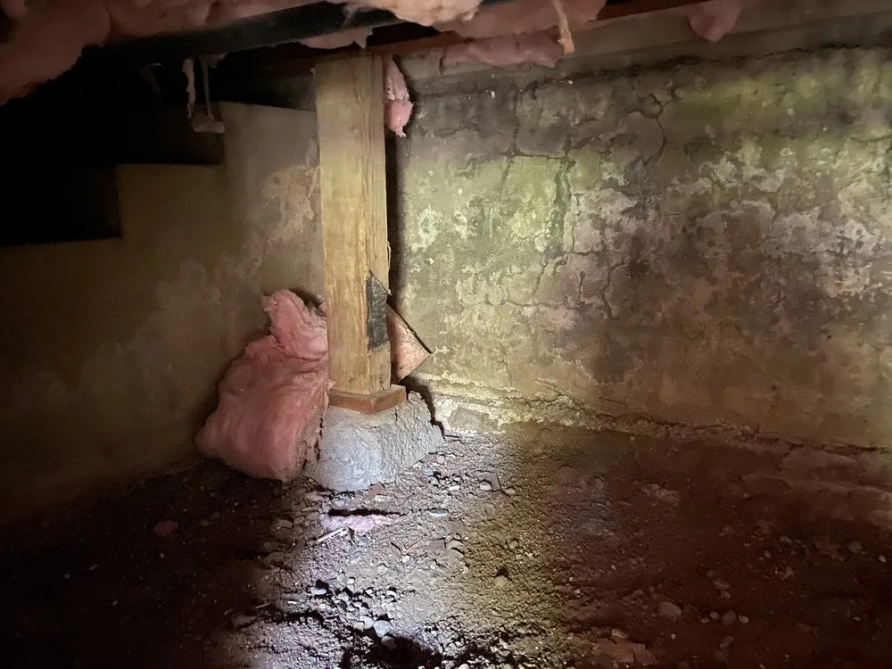 Slide of RLM Cali Builders