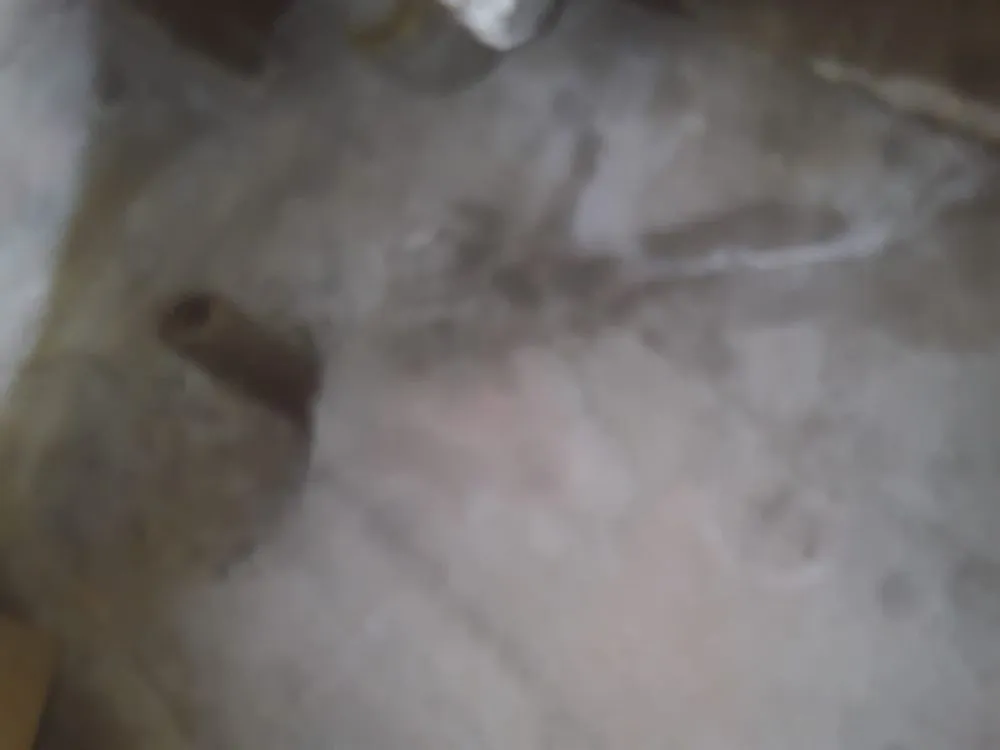 Slide of RLM Cali Builders