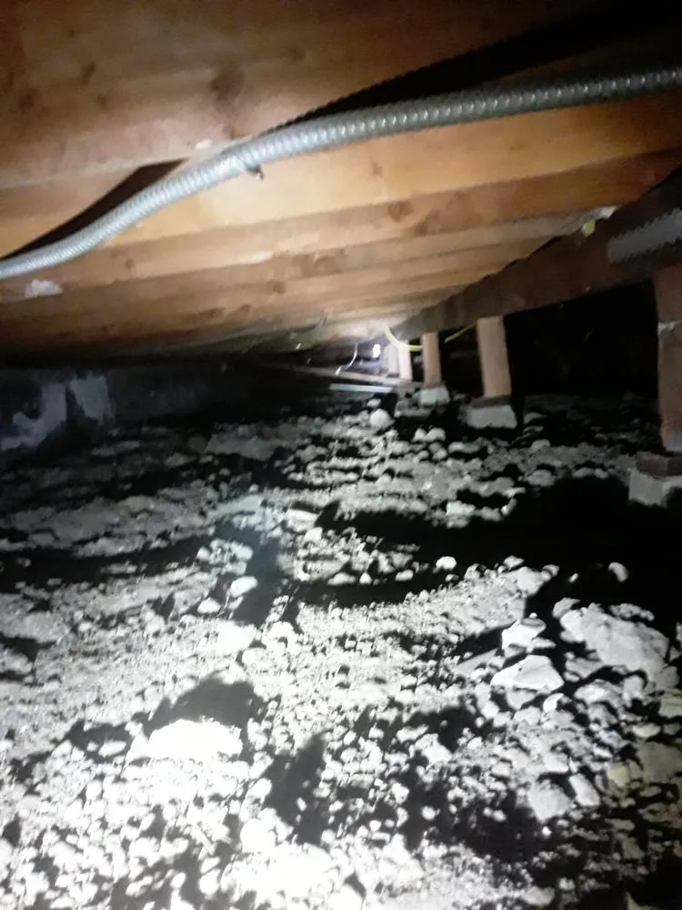 Slide of RLM Cali Builders