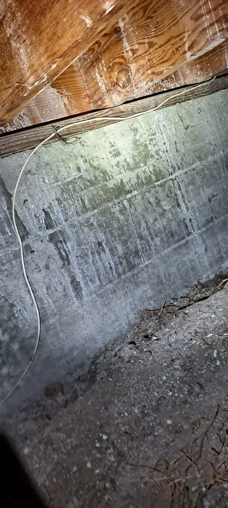 Slide of RLM Cali Builders