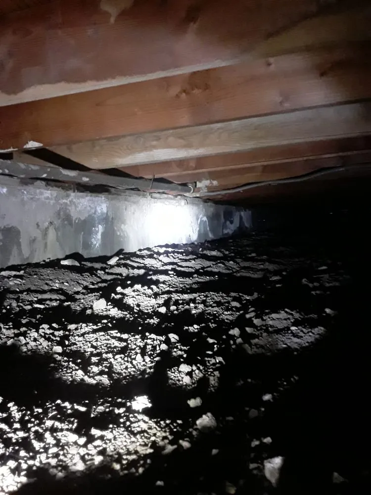 Slide of RLM Cali Builders