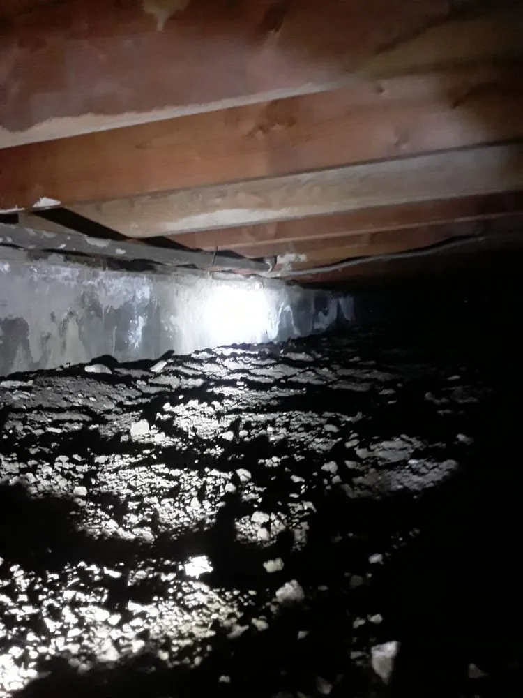 Slide of RLM Cali Builders