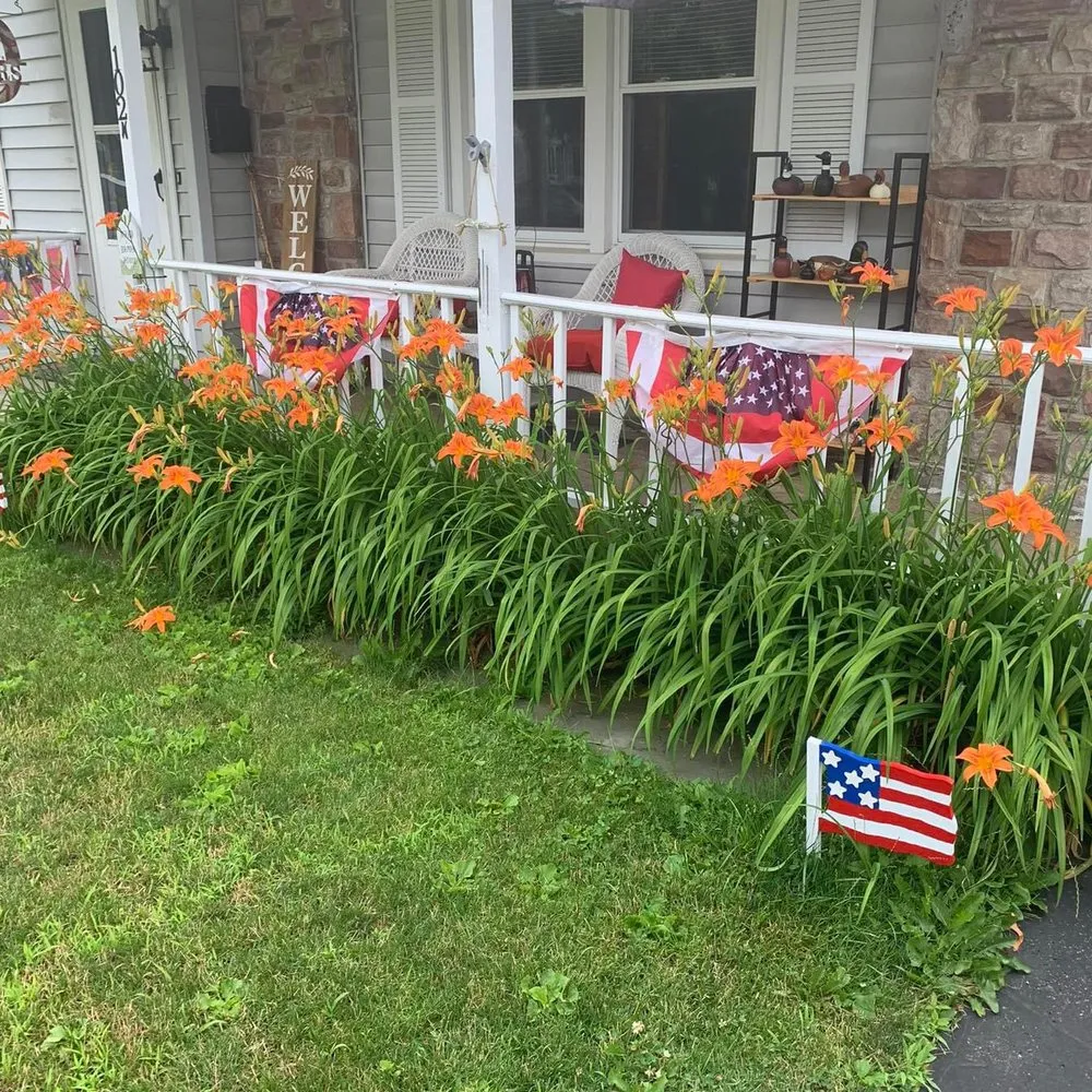 Slide of RLW Spoltess Solutions