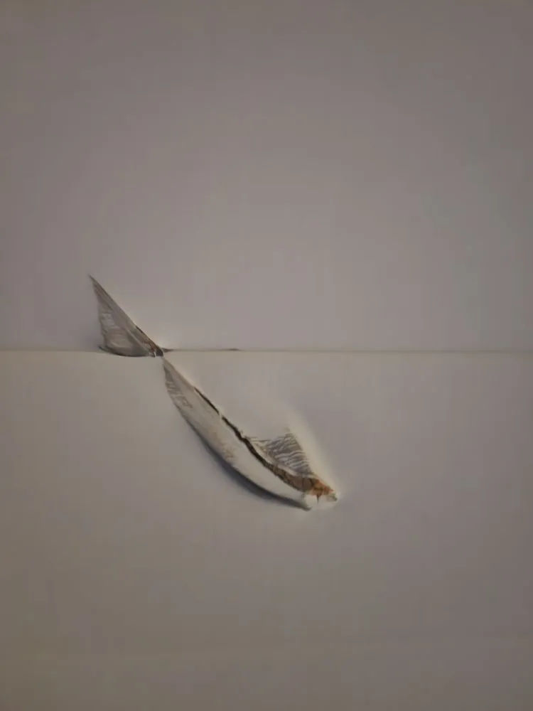 Slide of RM Construction Services