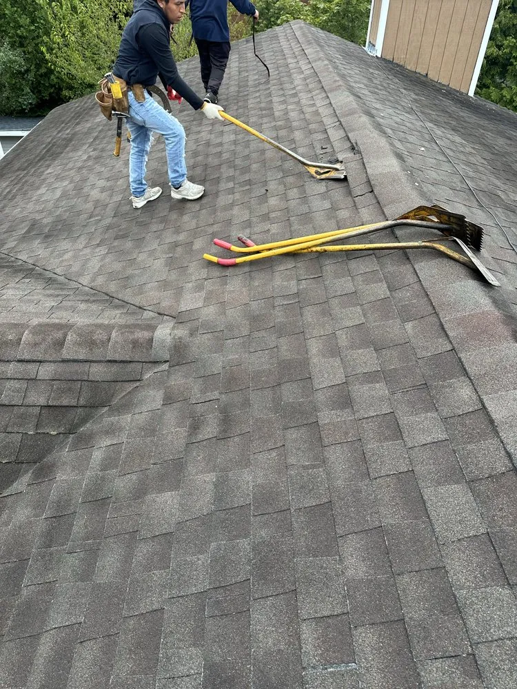 Slide of RMD Construction