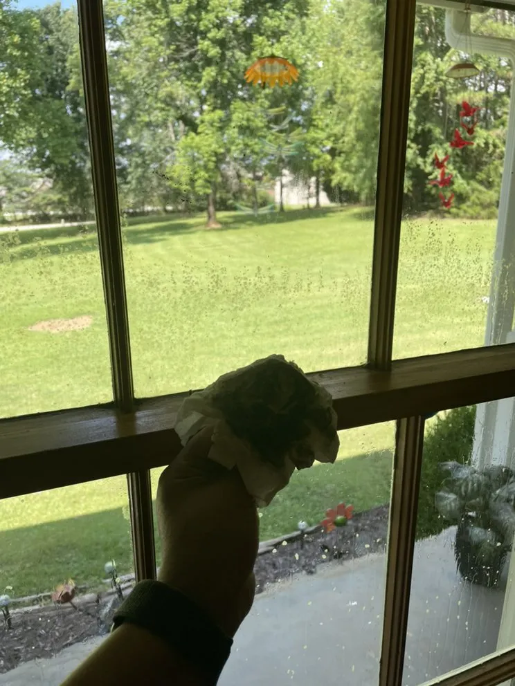 Slide of R&N Pressure Washing