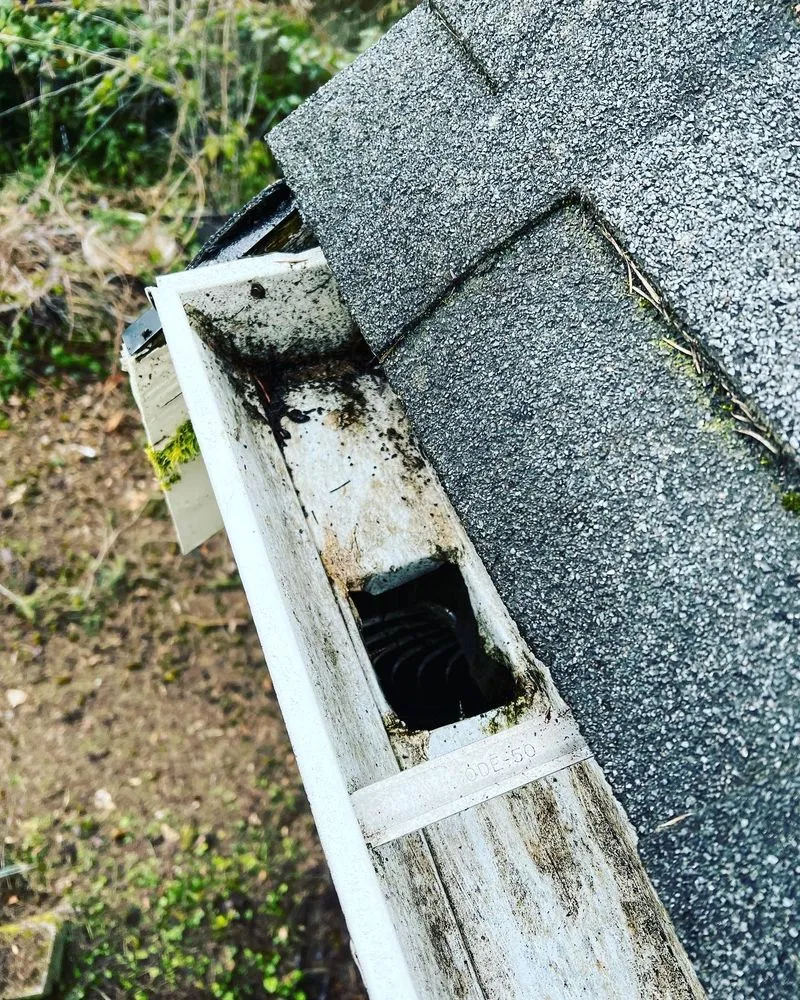 Slide of RNR Windows