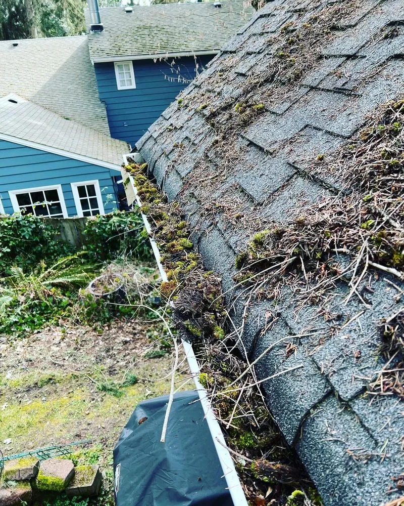 Slide of RNR Windows