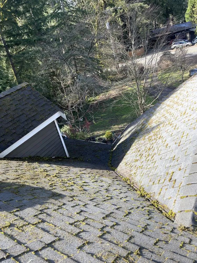 Slide of RNR Windows