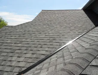 Slide of Rob The Roofer