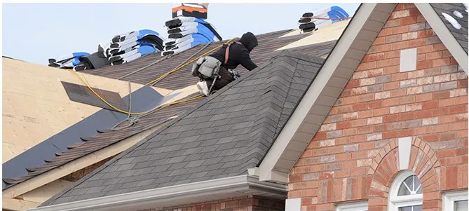 Slide of Robert Haines