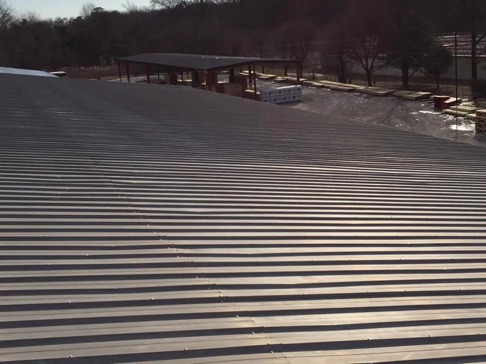 Slide of Robert Haines