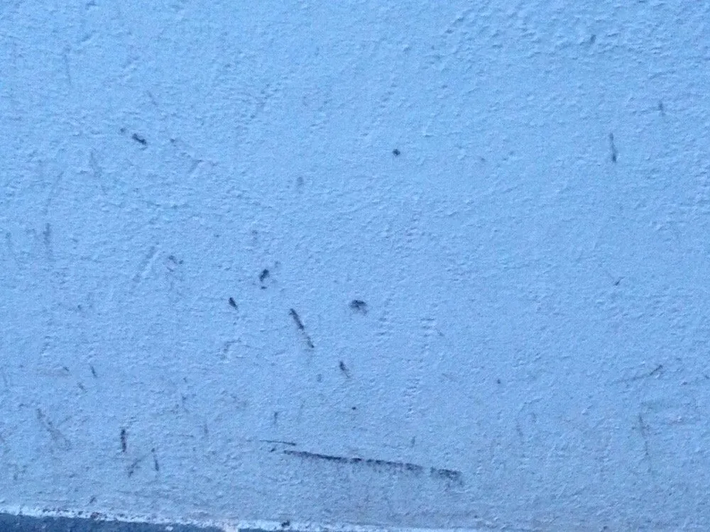 Slide of Robert Hansen Roofing