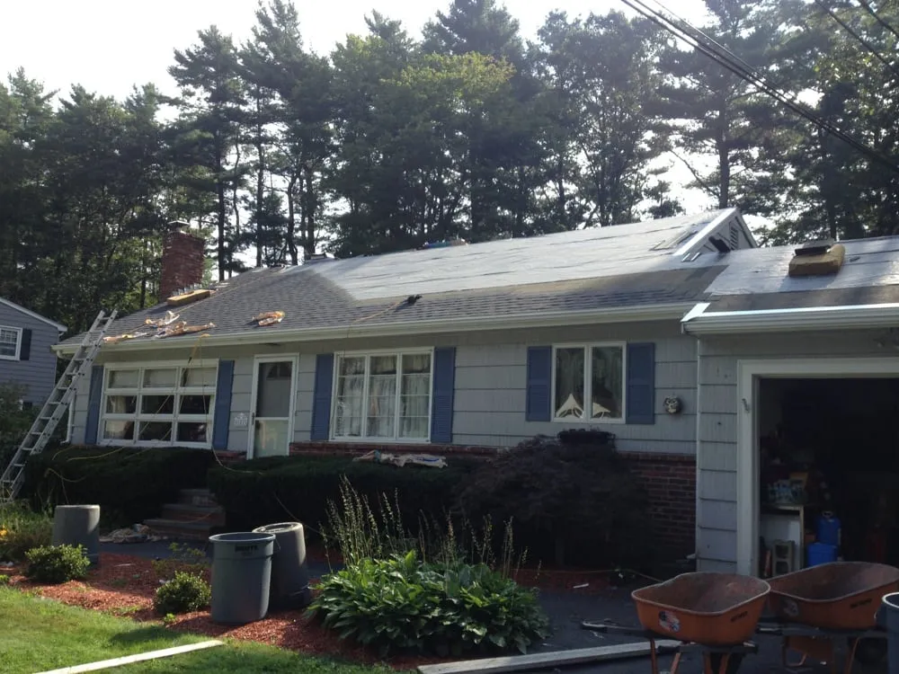 Slide of Robert Rugs