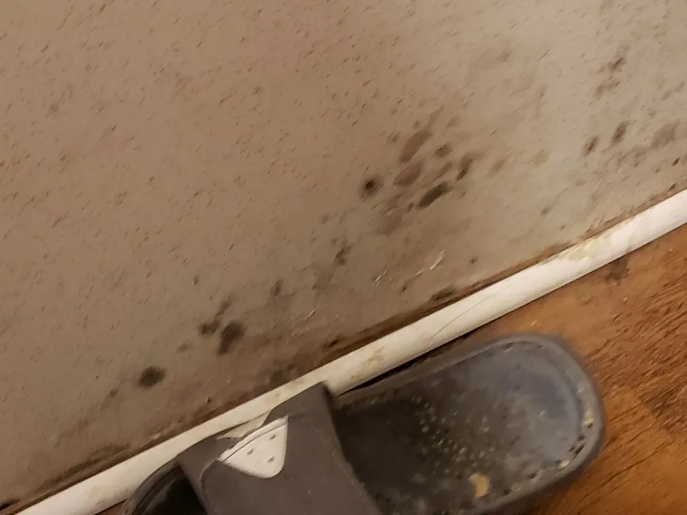 Slide of Roberts Handyman & Contracting