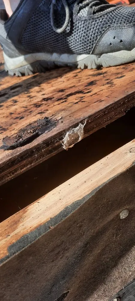 Slide of Robert's Remodeling