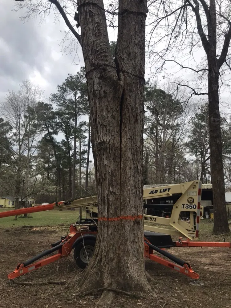 Slide of Roberts Tree Service and Home Repair