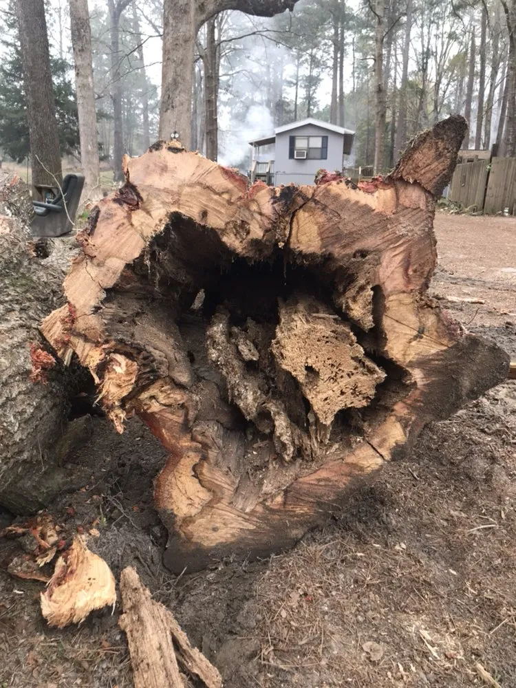 Slide of Roberts Tree Service and Home Repair