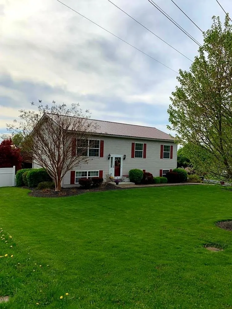 Slide of Robinson's Reconstruction