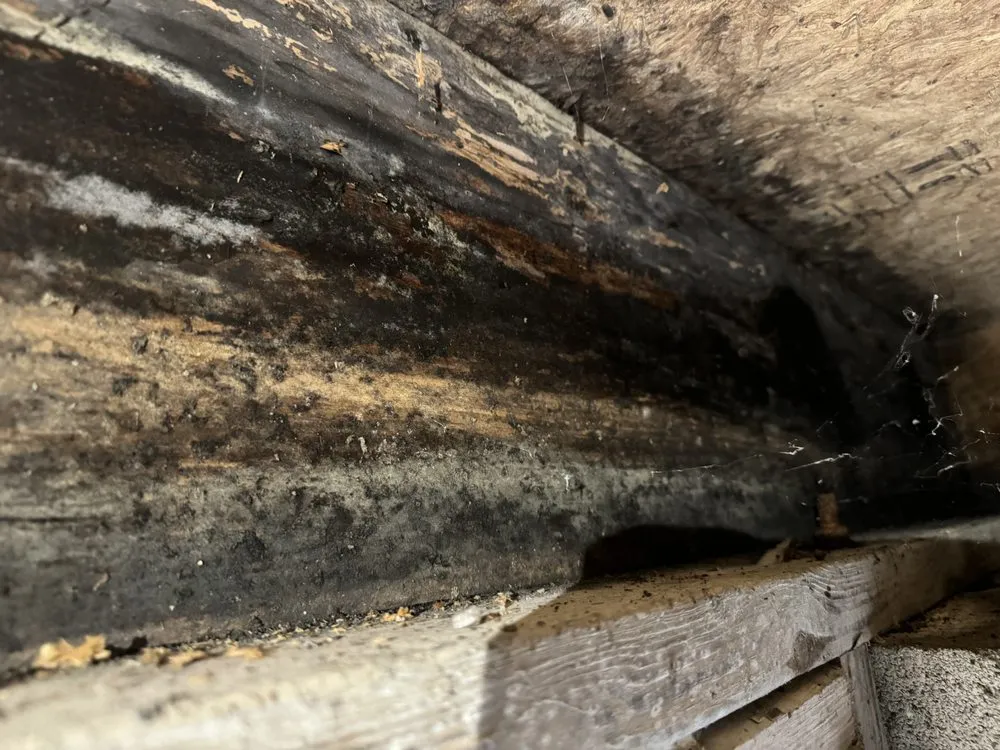 Slide of Robison Construction